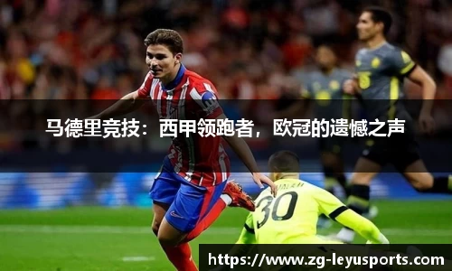 马德里竞技：西甲领跑者，欧冠的遗憾之声