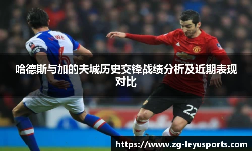 乐鱼体育公司