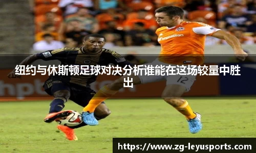 乐鱼体育公司
