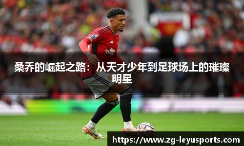 乐鱼体育