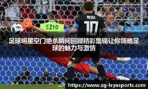 乐鱼体育官网