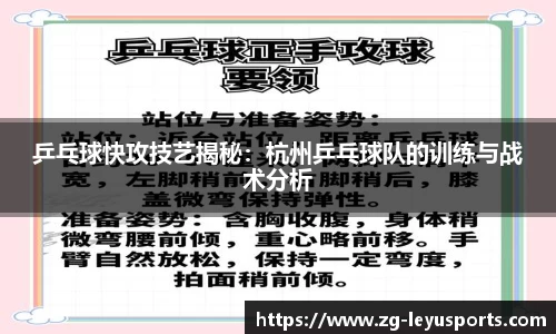 乒乓球快攻技艺揭秘:杭州乒乓球队的训练与战术分析
